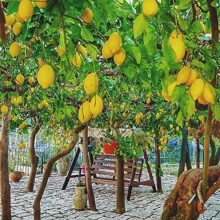 Villa Il Limoneto Degli Angeli à Minori Extérieur photo