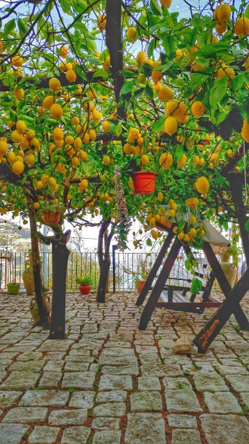 Villa Il Limoneto Degli Angeli à Minori Extérieur photo
