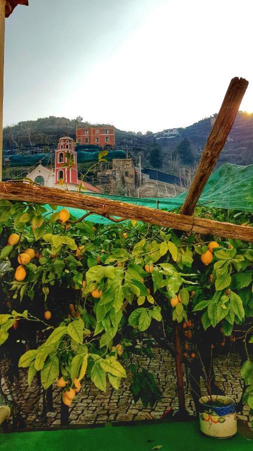 Villa Il Limoneto Degli Angeli à Minori Extérieur photo