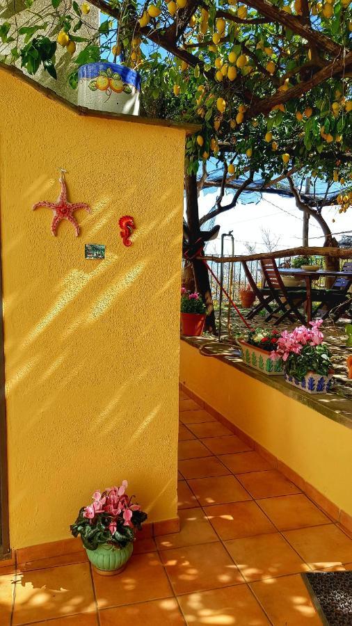 Villa Il Limoneto Degli Angeli à Minori Extérieur photo