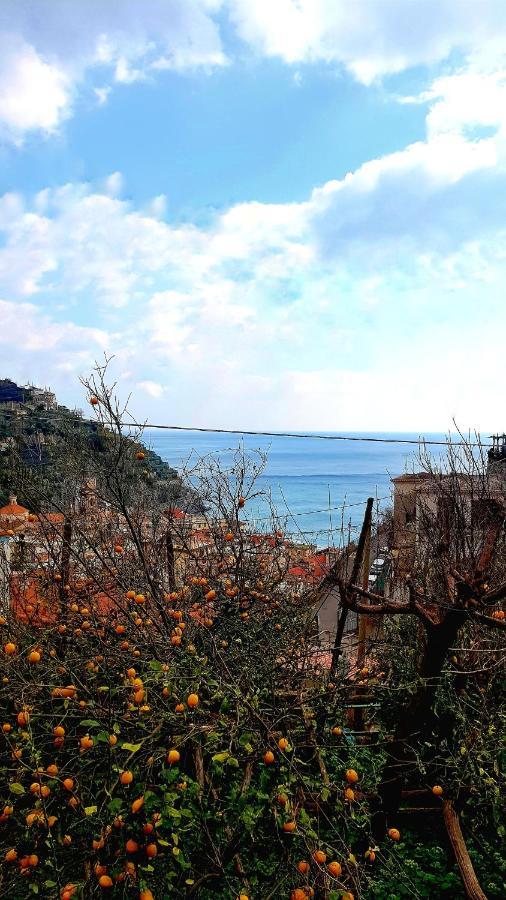 Villa Il Limoneto Degli Angeli à Minori Extérieur photo