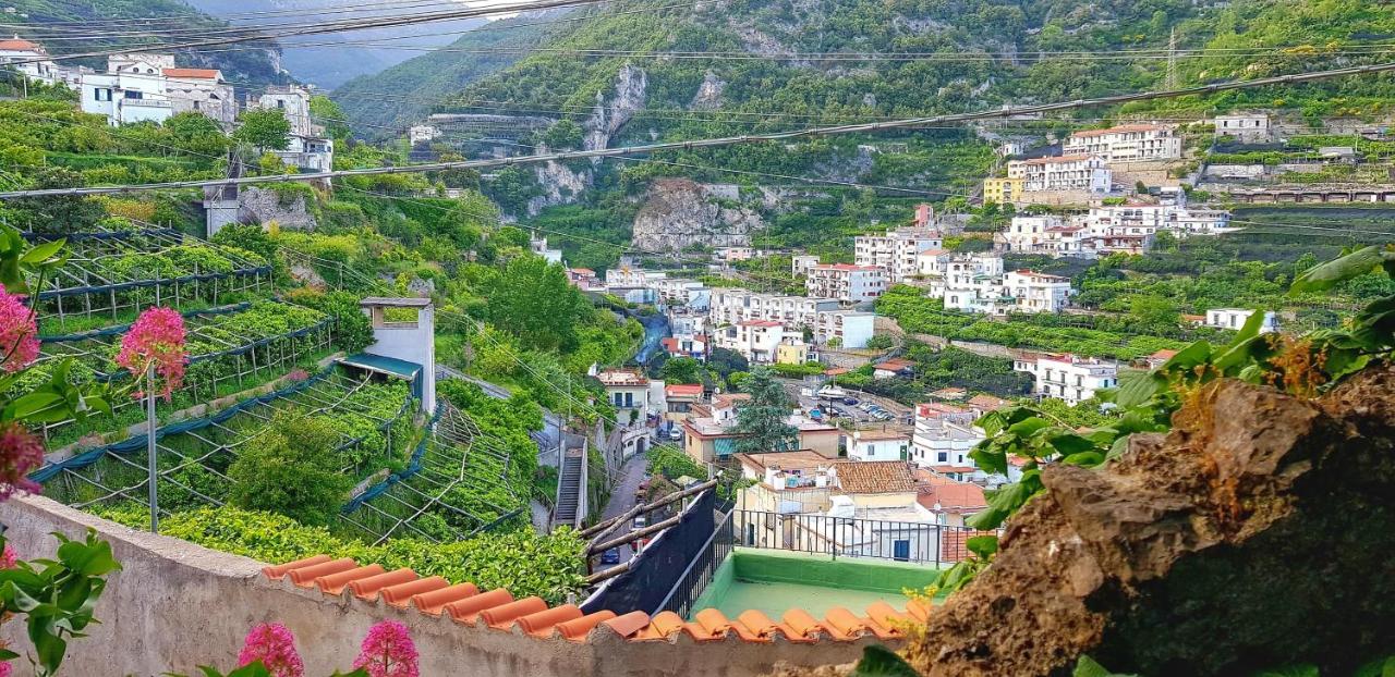 Villa Il Limoneto Degli Angeli à Minori Extérieur photo