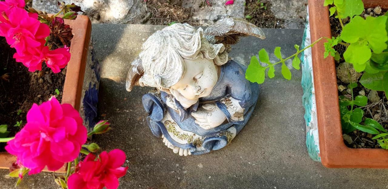 Villa Il Limoneto Degli Angeli à Minori Extérieur photo