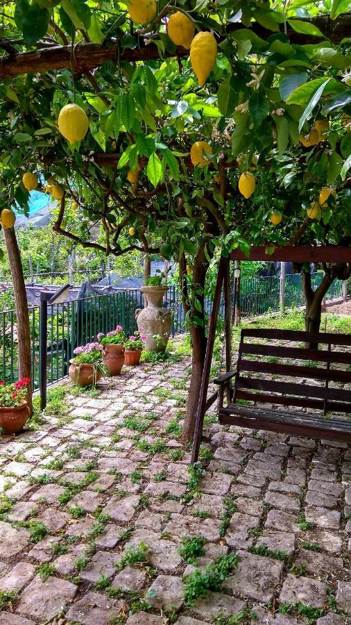 Villa Il Limoneto Degli Angeli à Minori Extérieur photo